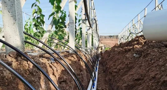 农用管系列中的灌溉用LDPE管有哪些应用场景？联塑的灌溉用LDPE管怎么样？